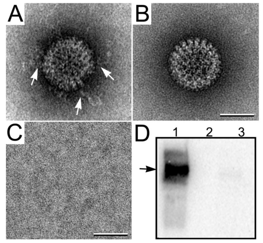 Micromachines 04 00090 g006 1024
