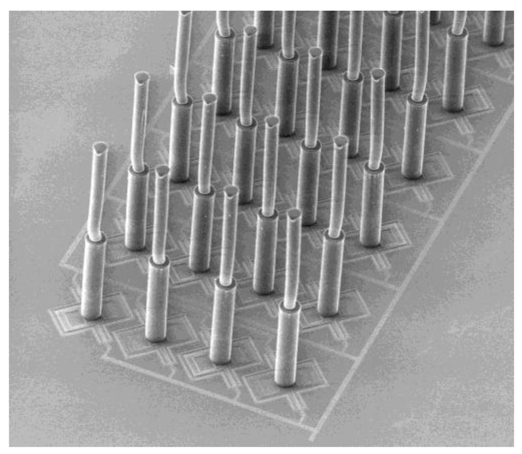 Micromachines 04 00116 g002 1024