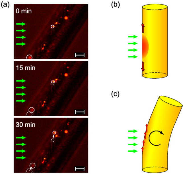 Micromachines 04 00128 g004 1024