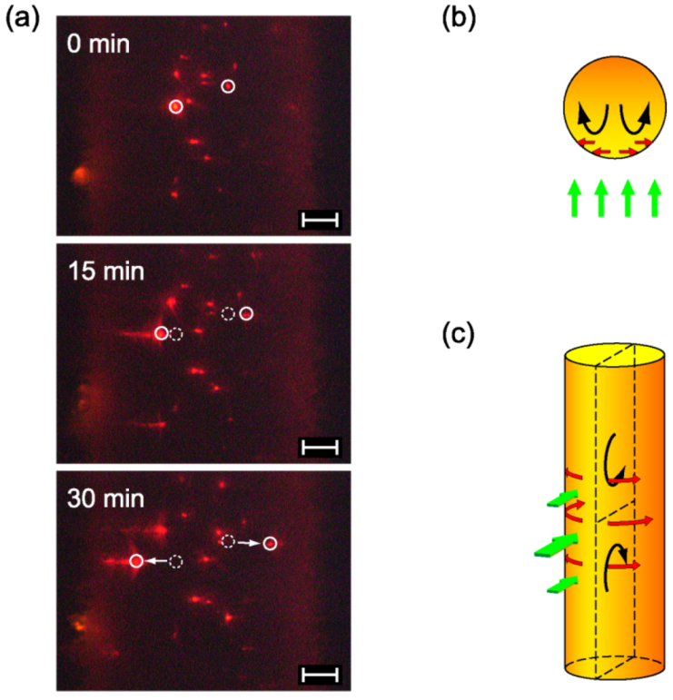 Micromachines 04 00128 g005 1024