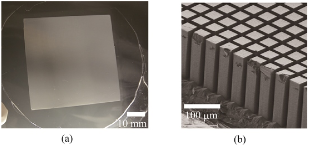 Micromachines 04 00157 g005 1024