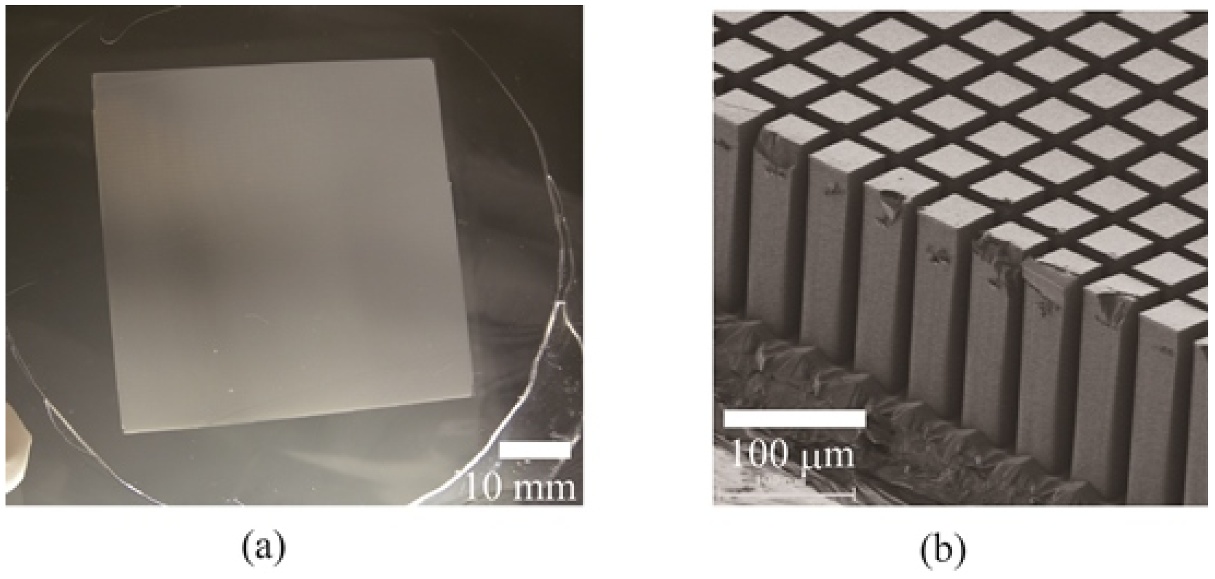 Micromachines 04 00157 g005