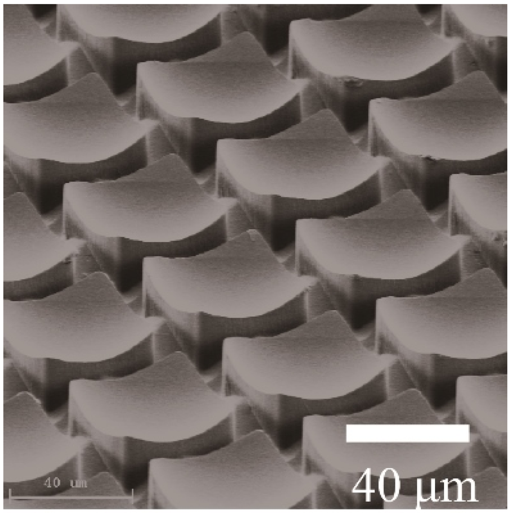 Micromachines 04 00157 g006 1024