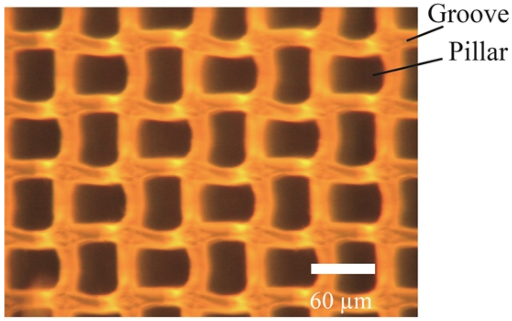 Micromachines 04 00157 g007 1024