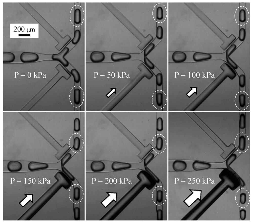Micromachines 04 00197 g005 1024