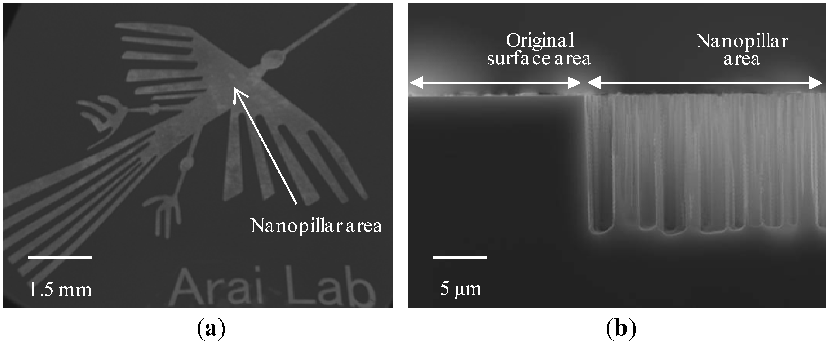 Micromachines 04 00232 g003