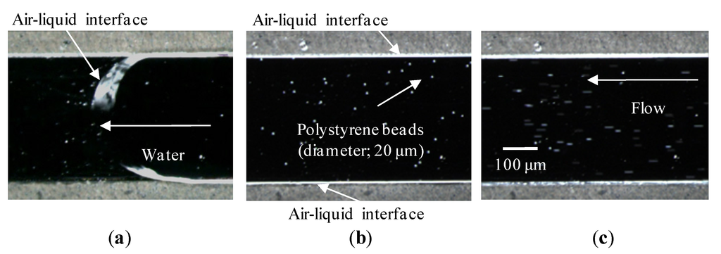 Micromachines 04 00232 g007 1024
