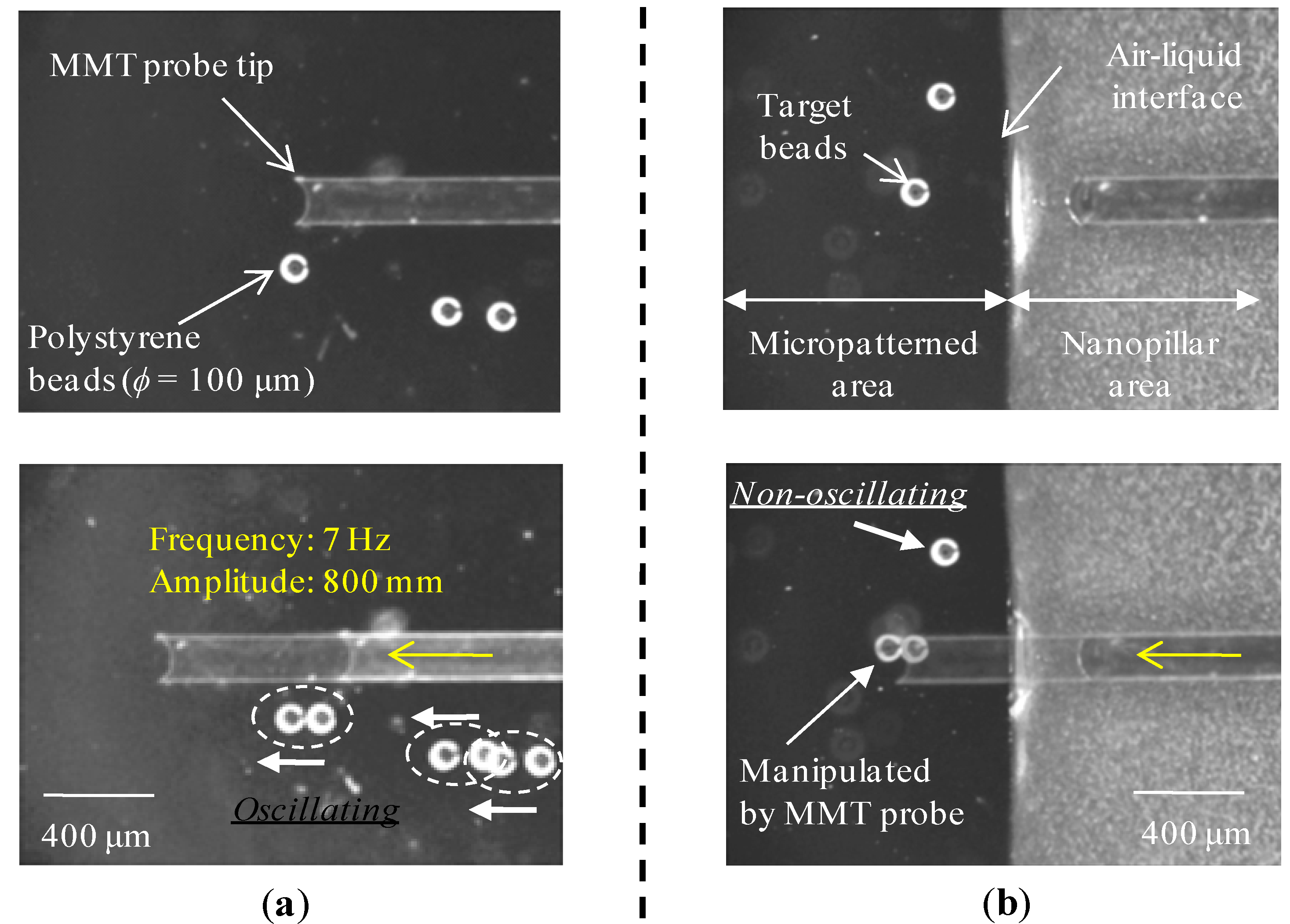 Micromachines 04 00232 g008
