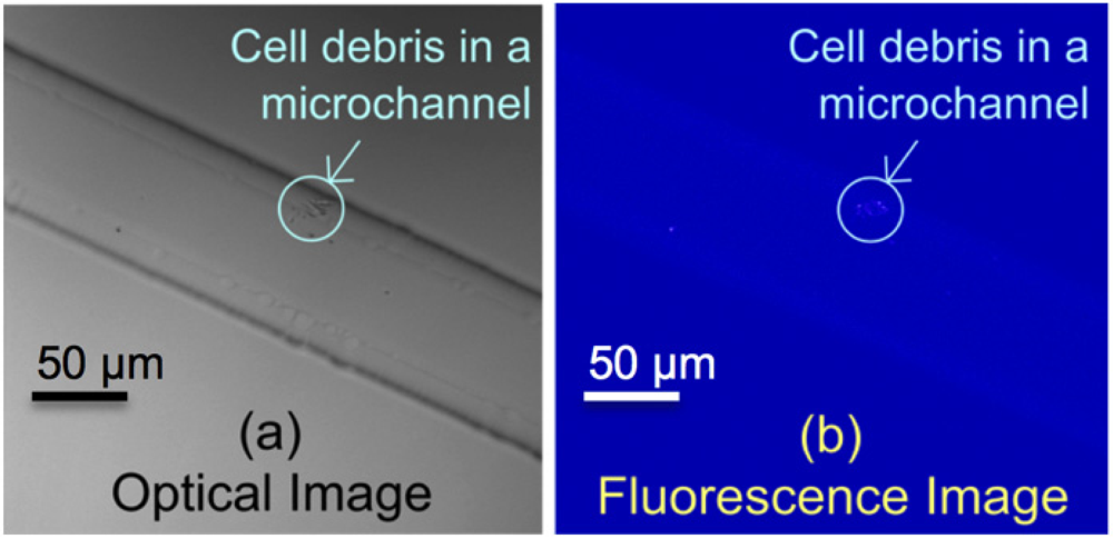 Micromachines 04 00243 g004