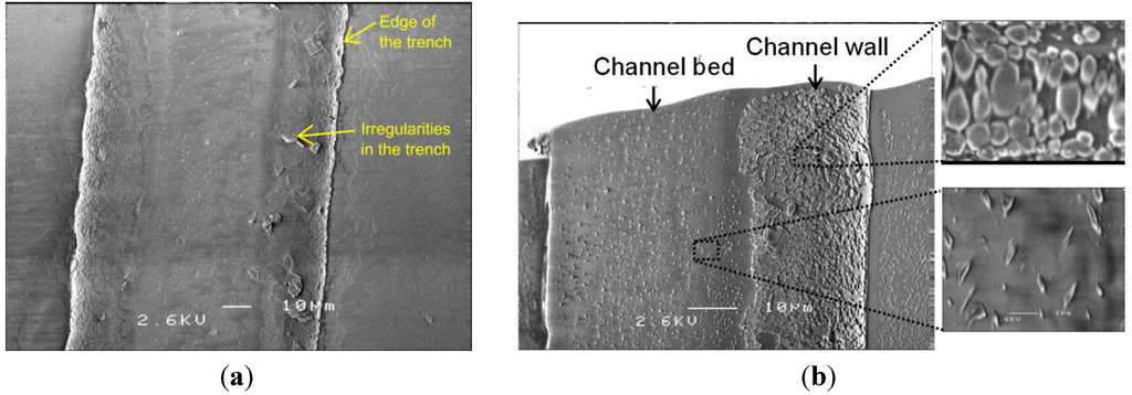 Micromachines 04 00243 g005 1024