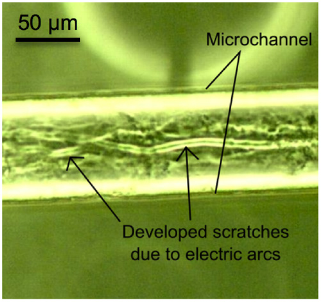 Micromachines 04 00243 g007