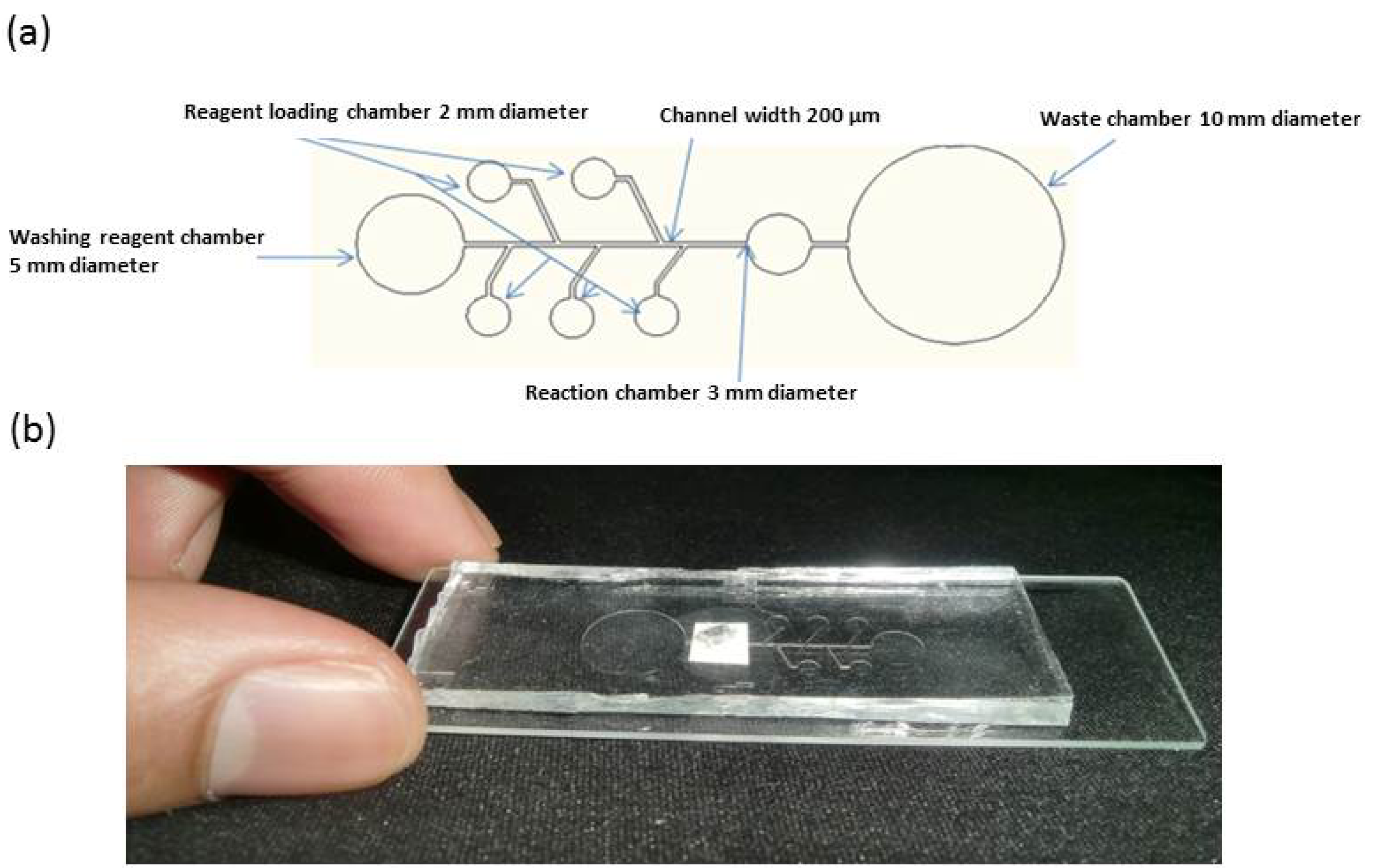 Micromachines 04 00257 g002