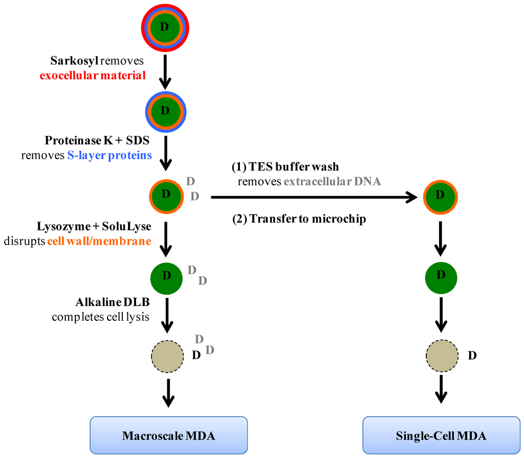 Micromachines 04 00321 g001 1024