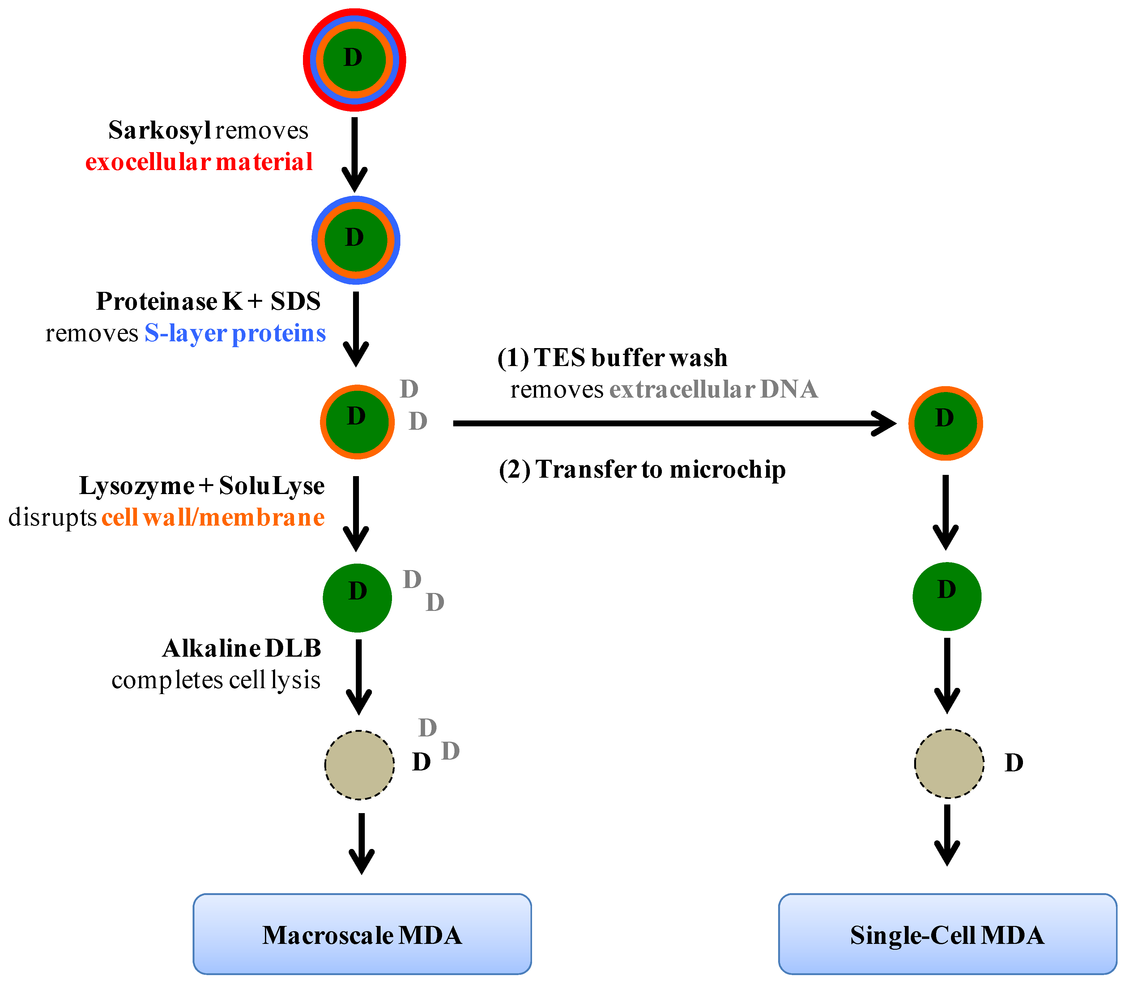 Micromachines 04 00321 g001