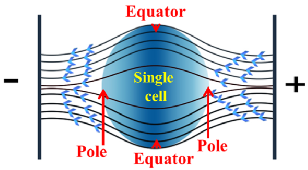 Micromachines 04 00333 g002 1024