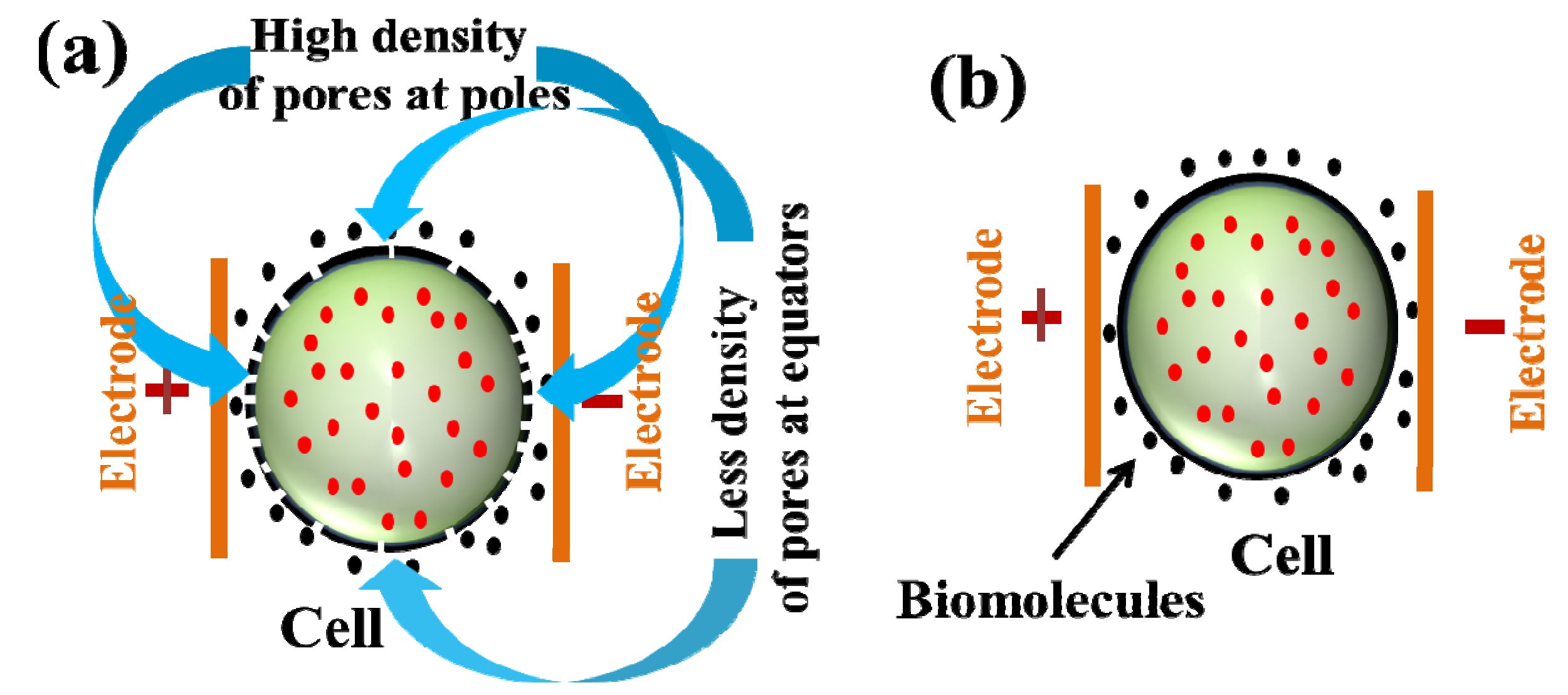 Micromachines 04 00333 g003