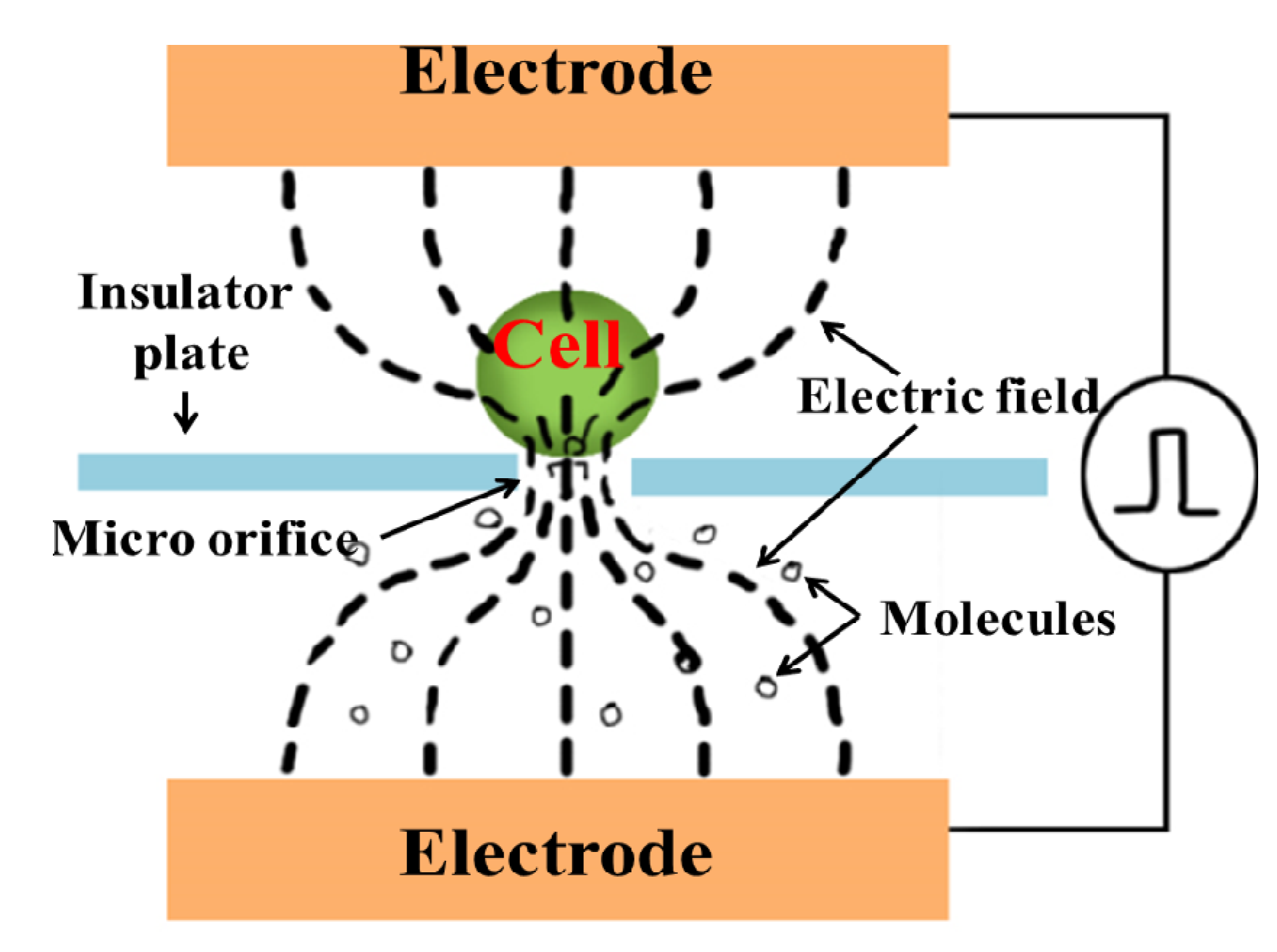 Micromachines 04 00333 g005