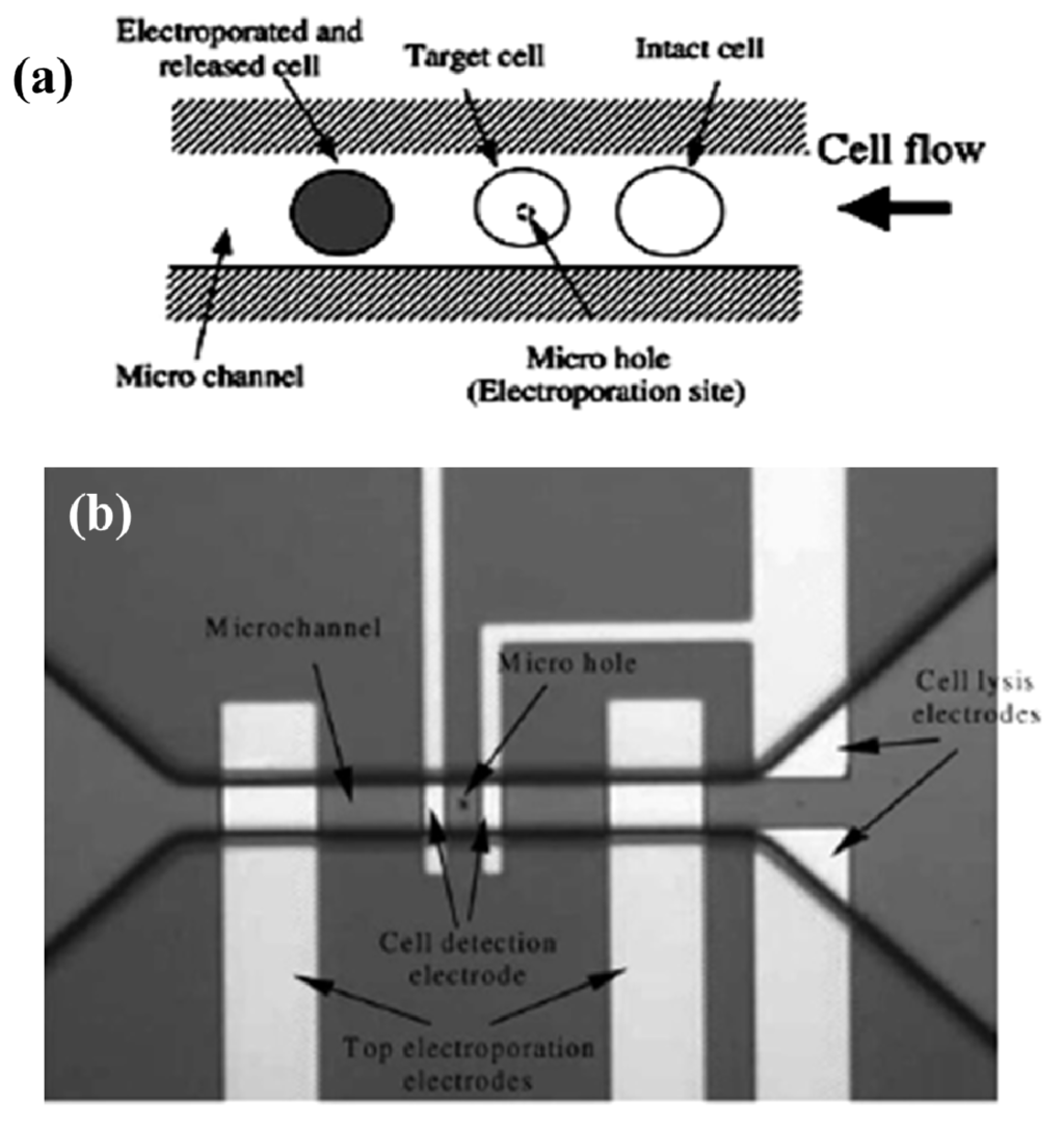 Micromachines 04 00333 g006 1024