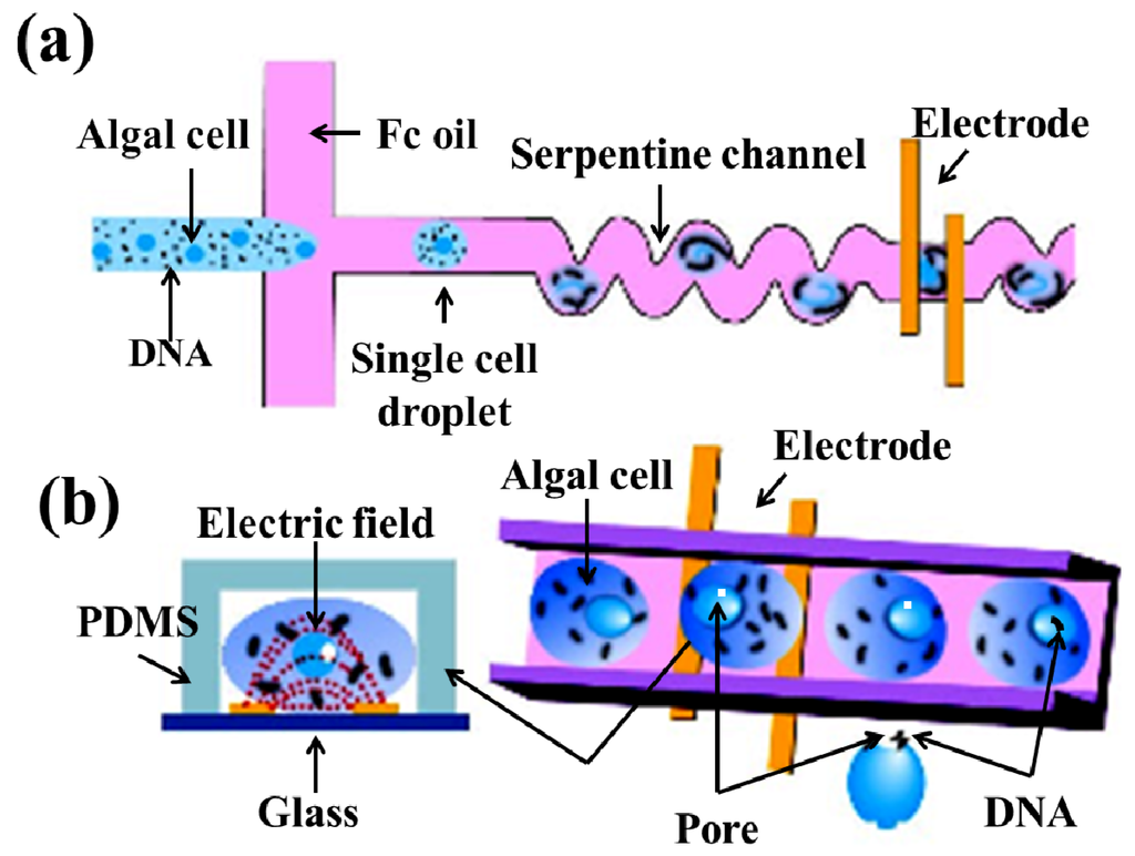 Micromachines 04 00333 g009 1024