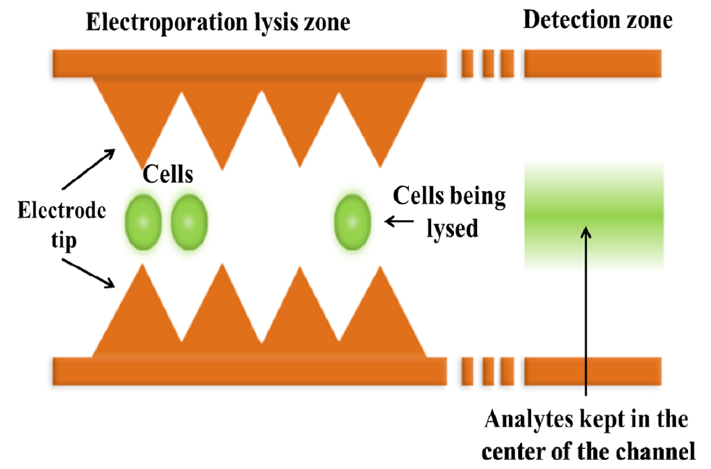 Micromachines 04 00333 g010 1024