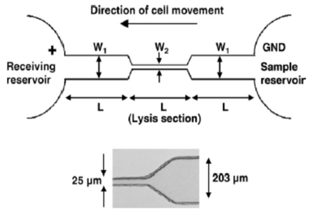 Micromachines 04 00333 g011 1024