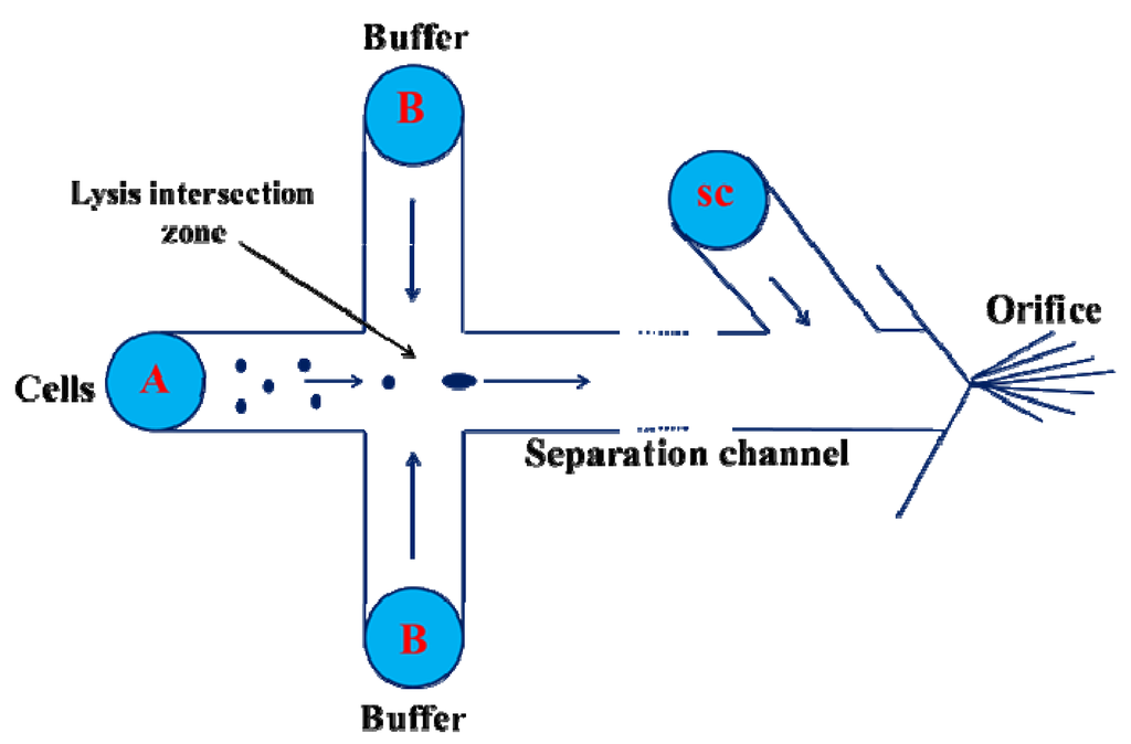 Micromachines 04 00333 g012 1024
