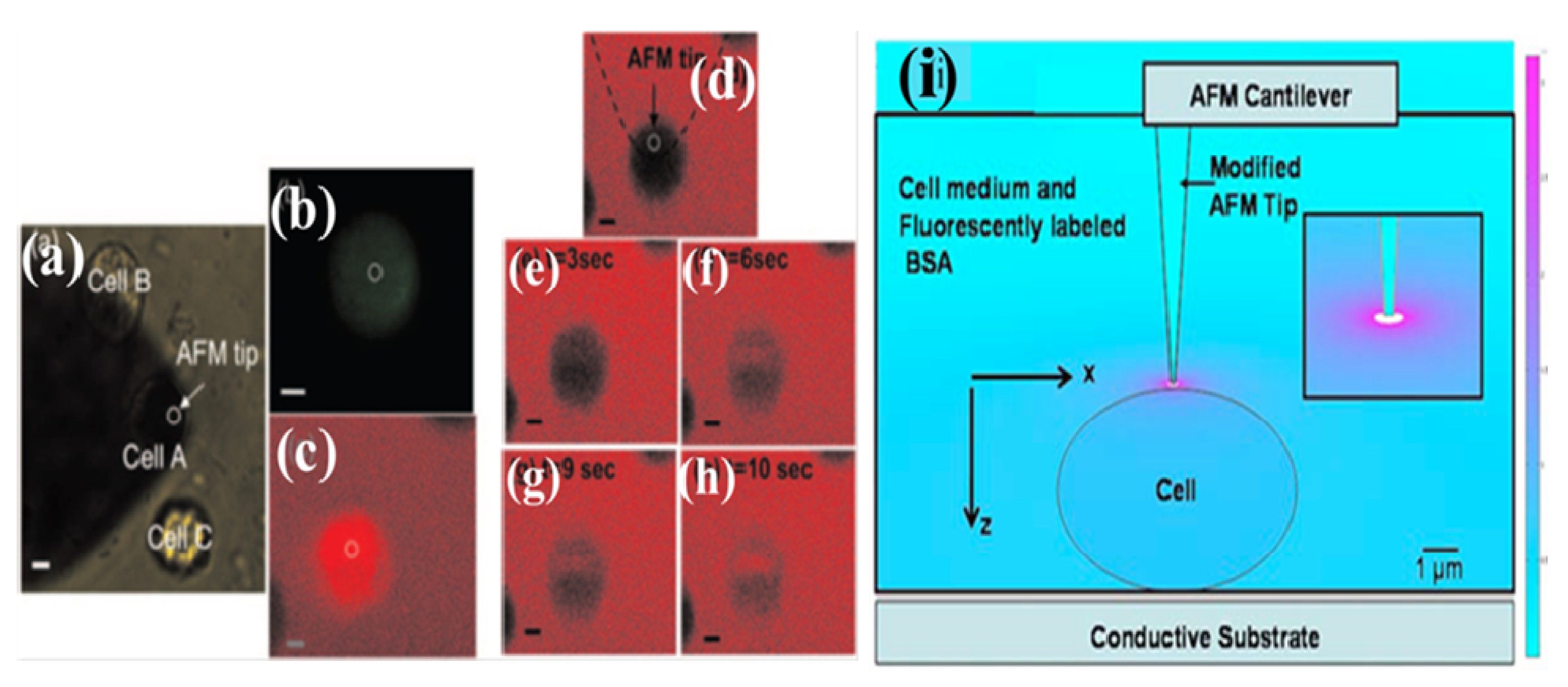 Micromachines 04 00333 g013