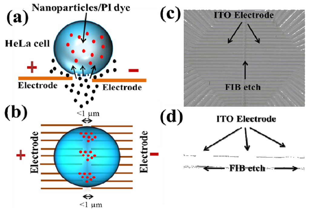 Micromachines 04 00333 g014 1024