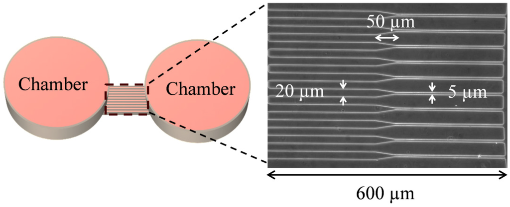 Micromachines 05 00013 g001 1024