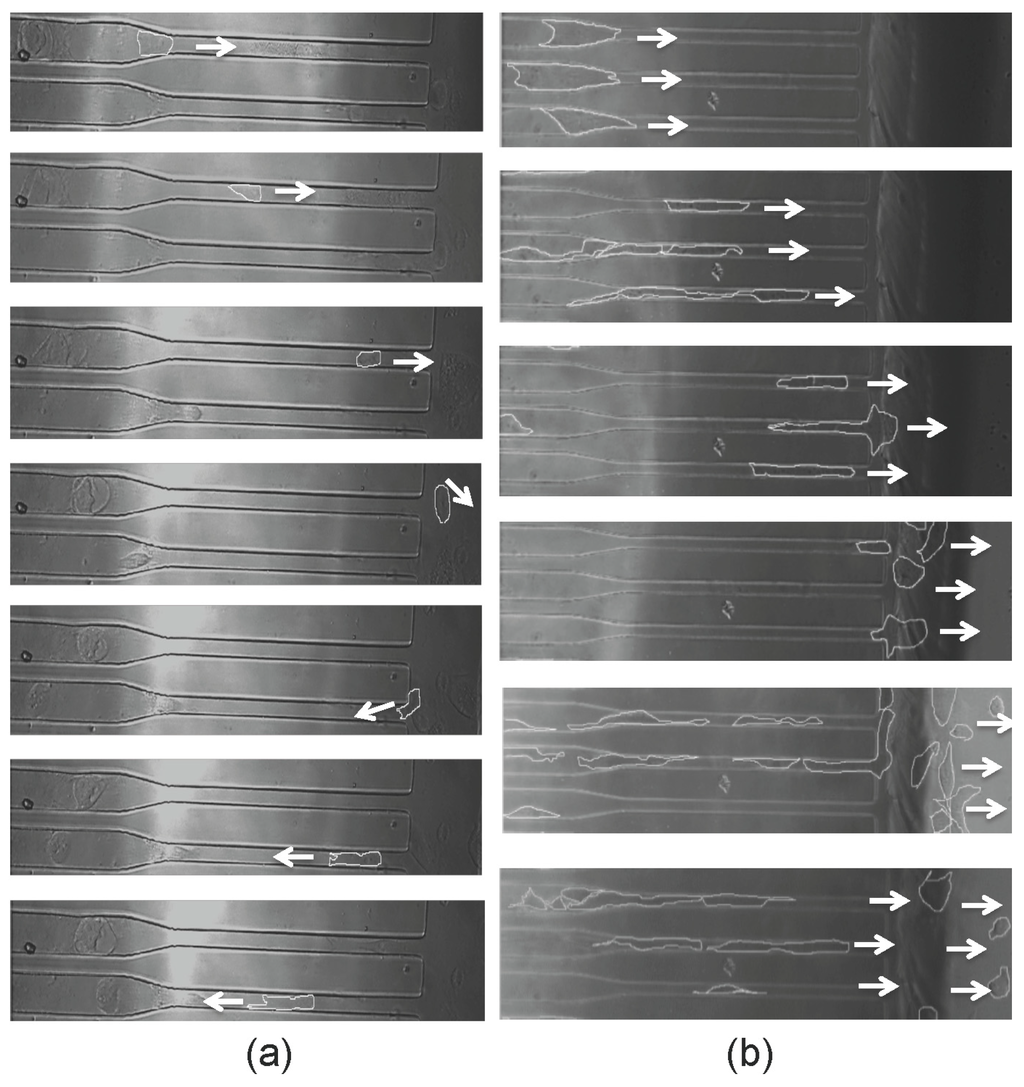 Micromachines 05 00013 g002 1024