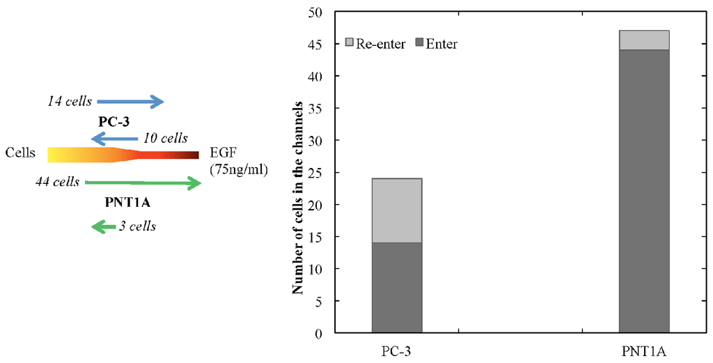 Micromachines 05 00013 g003 1024