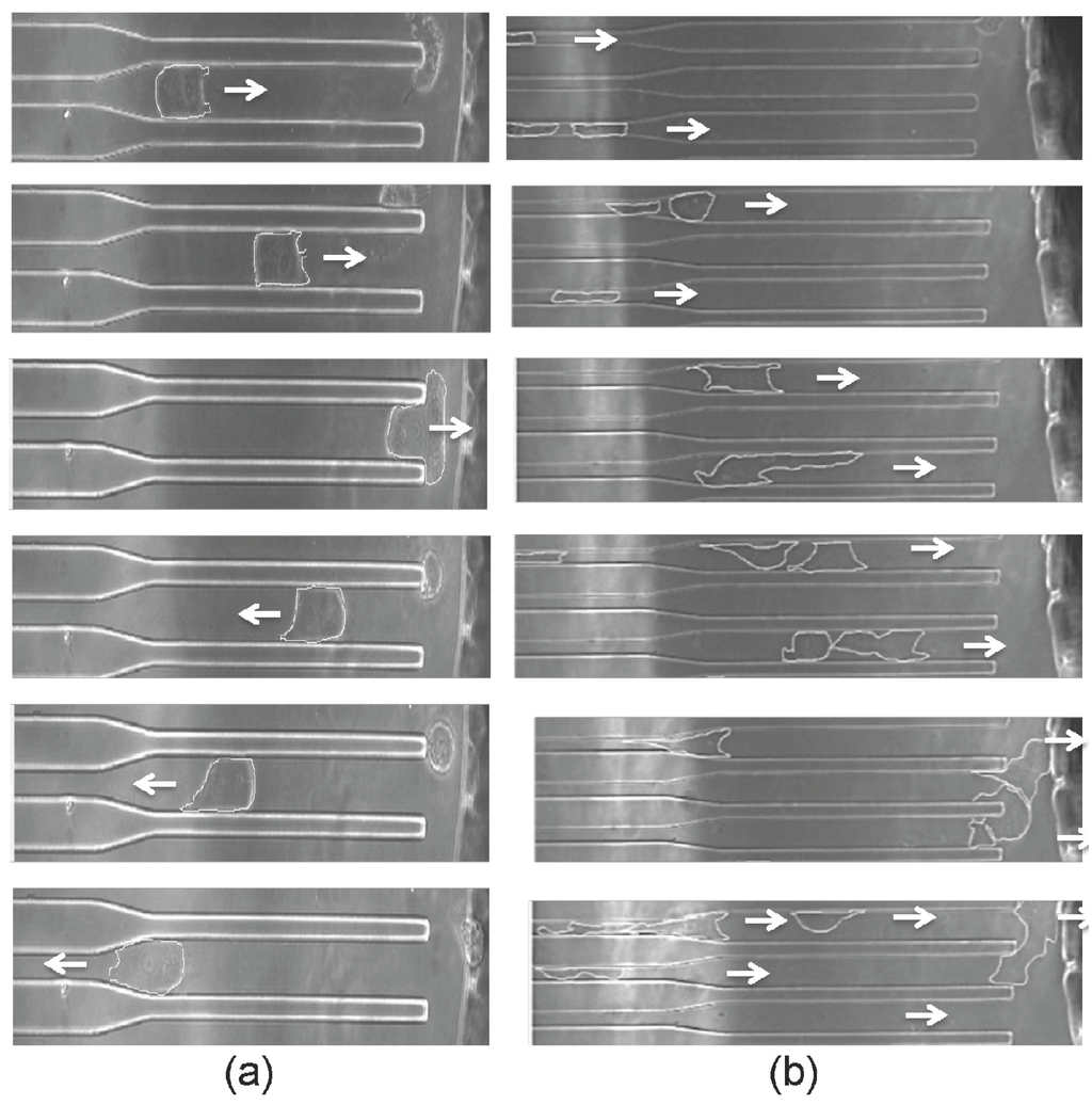 Micromachines 05 00013 g004 1024