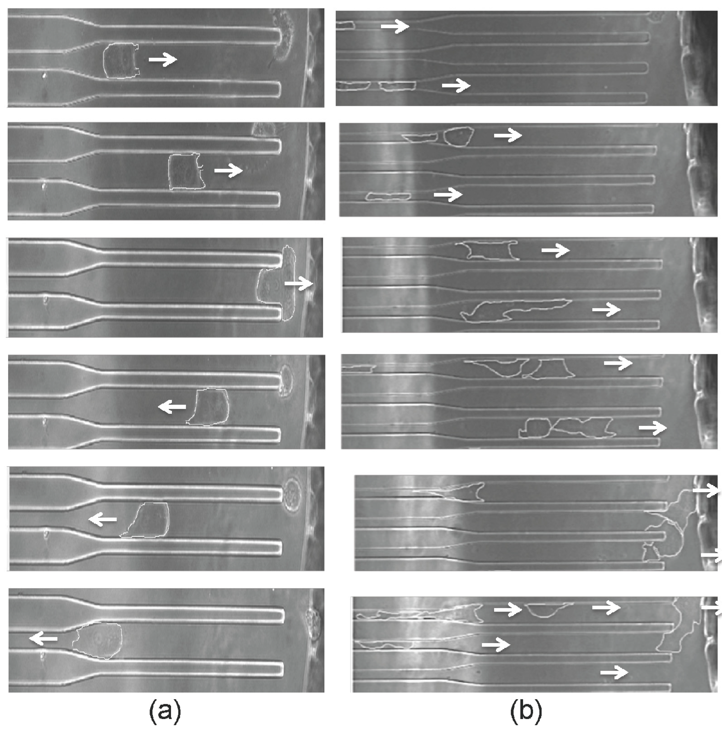 Micromachines 05 00013 g004