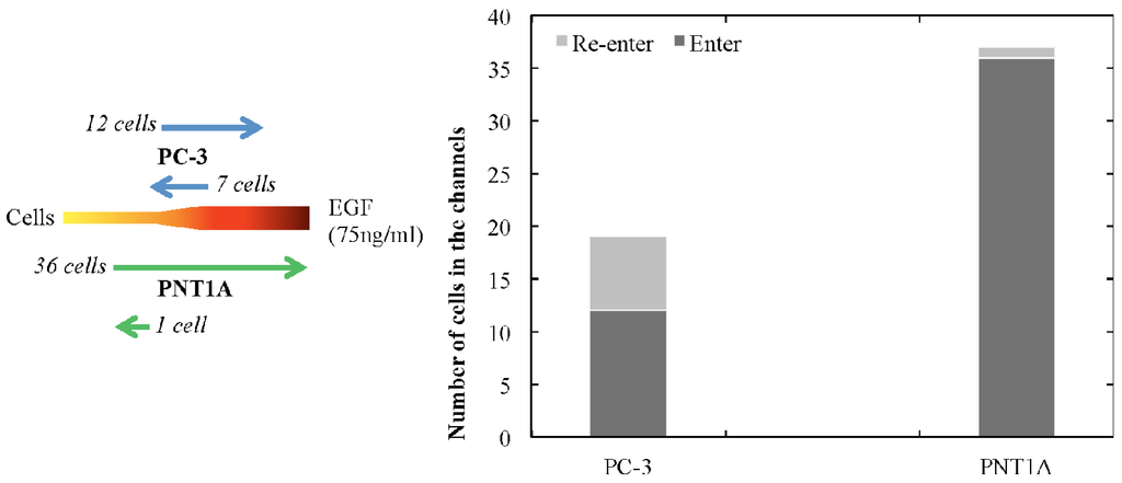 Micromachines 05 00013 g005 1024