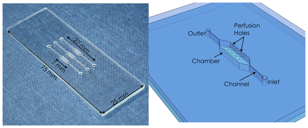 Micromachines 05 00158 g001 1024