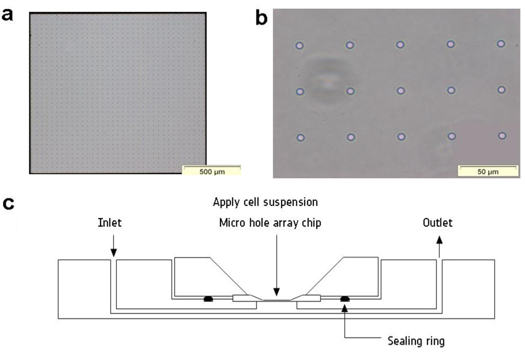 Micromachines 05 00204 g001 1024