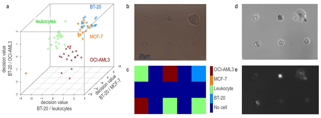 Micromachines 05 00204 g004 1024