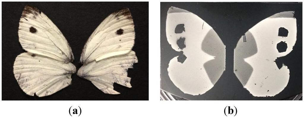 Micromachines 05 00216 g006 1024