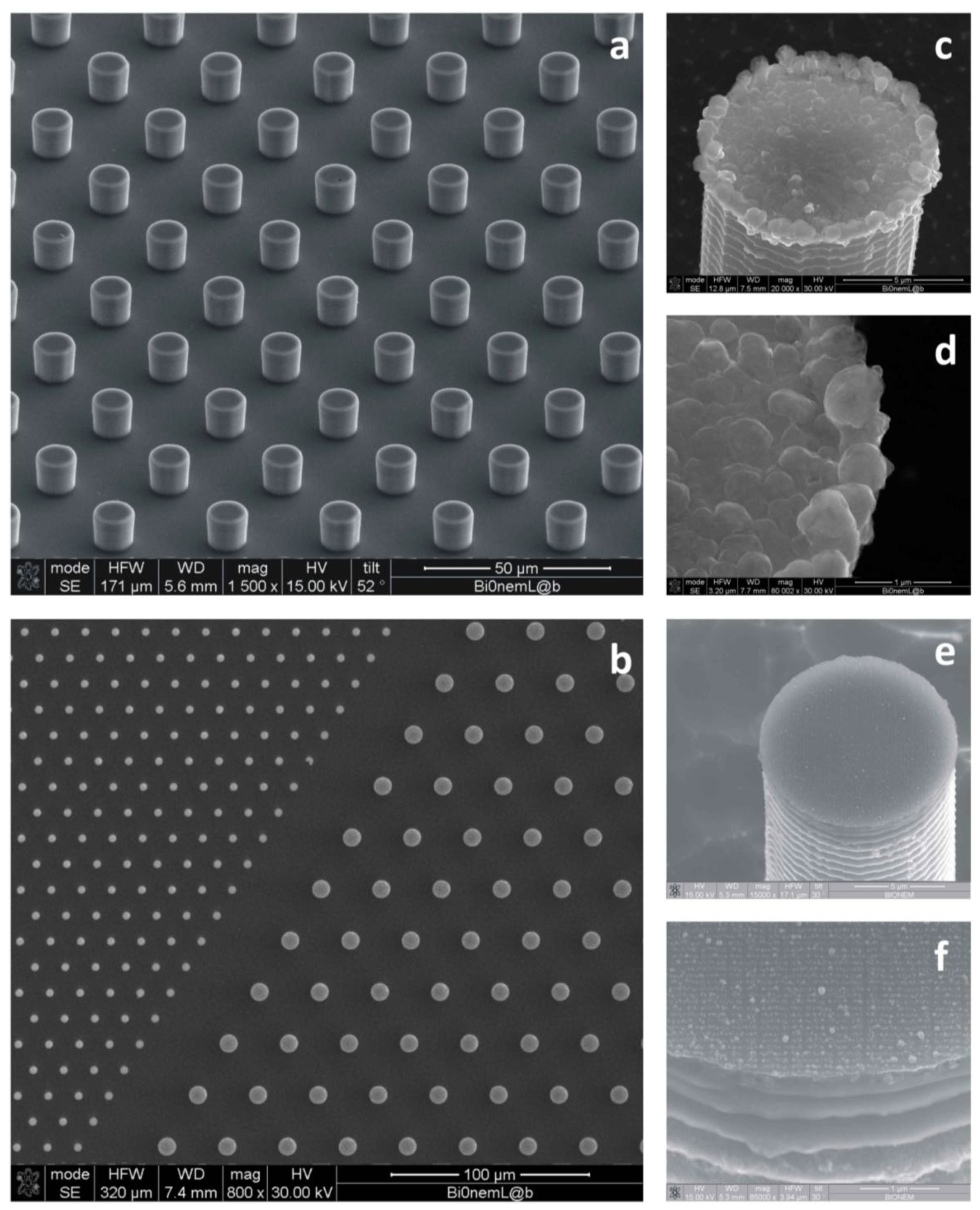 Micromachines 05 00239 g002