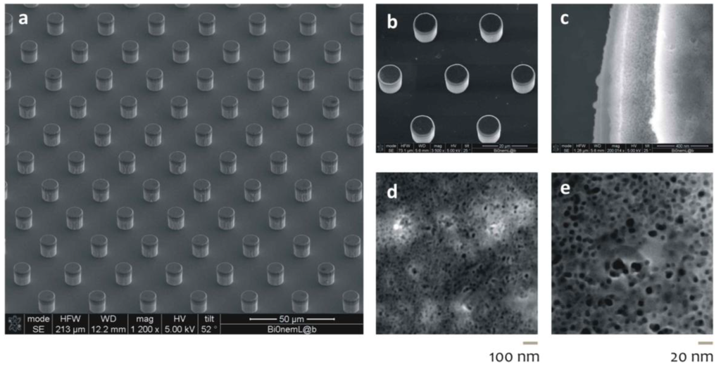Micromachines 05 00239 g003 1024