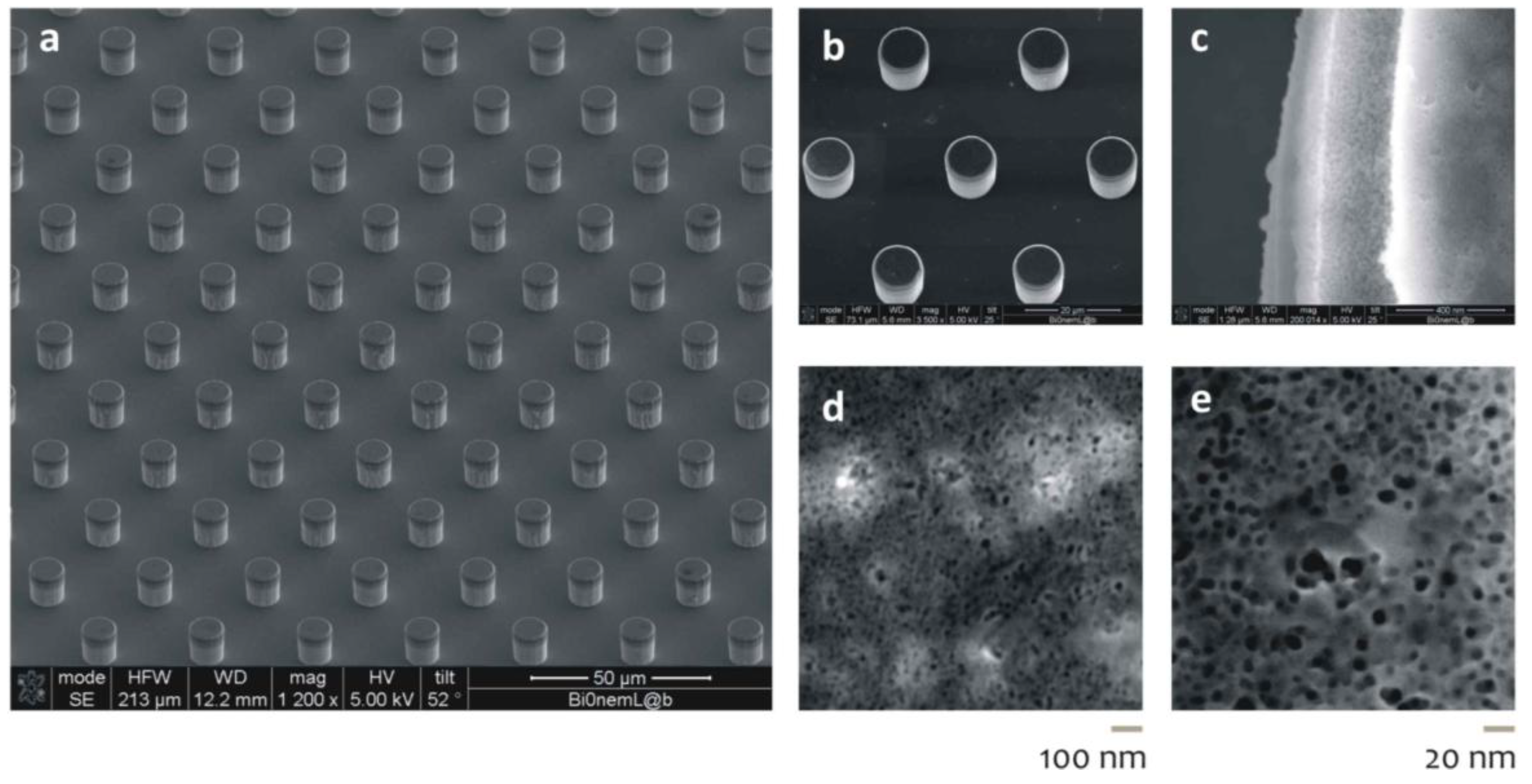 Micromachines 05 00239 g003
