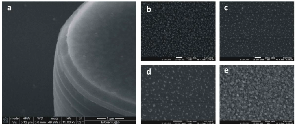 Micromachines 05 00239 g004 1024