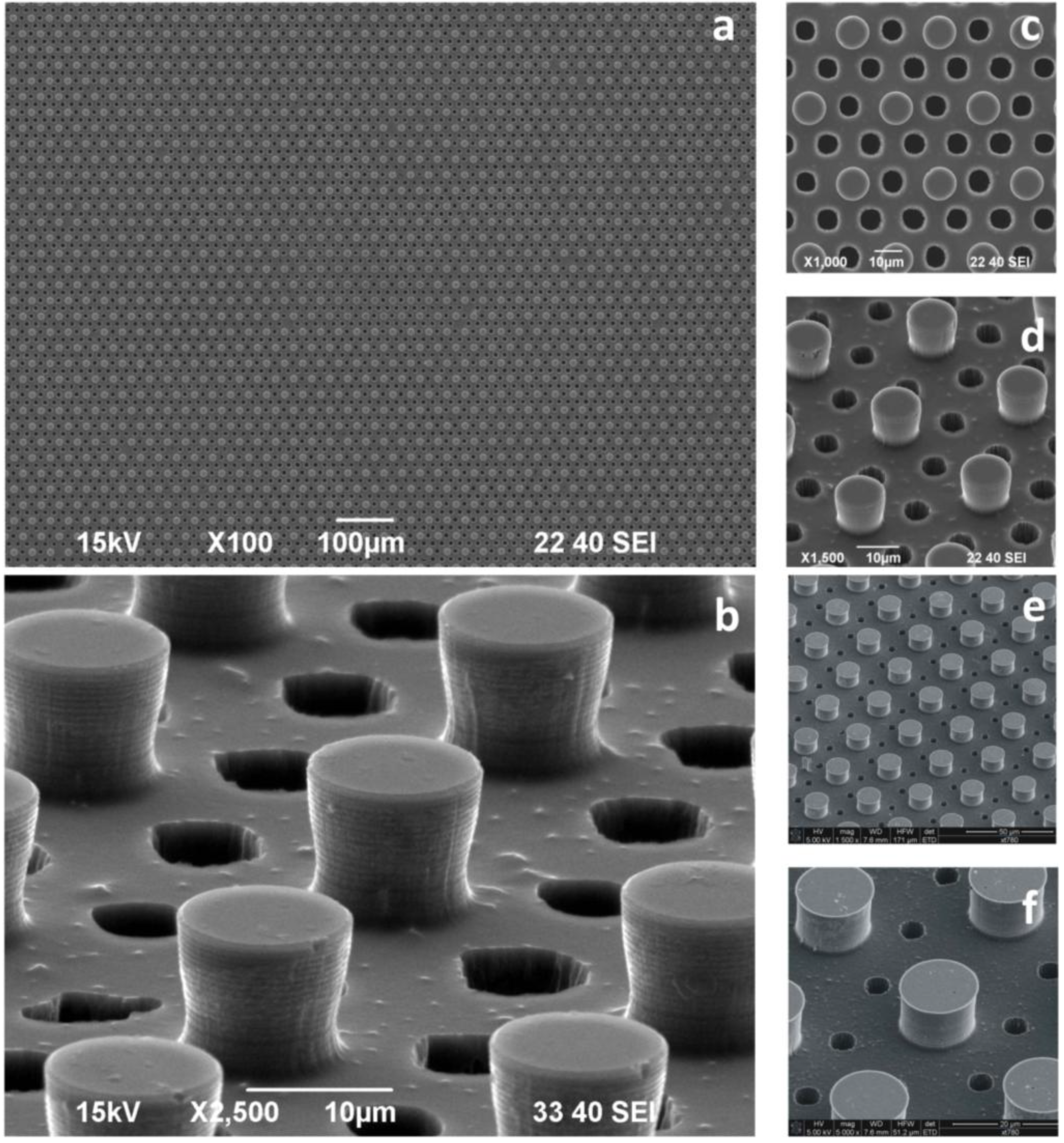 Micromachines 05 00239 g005