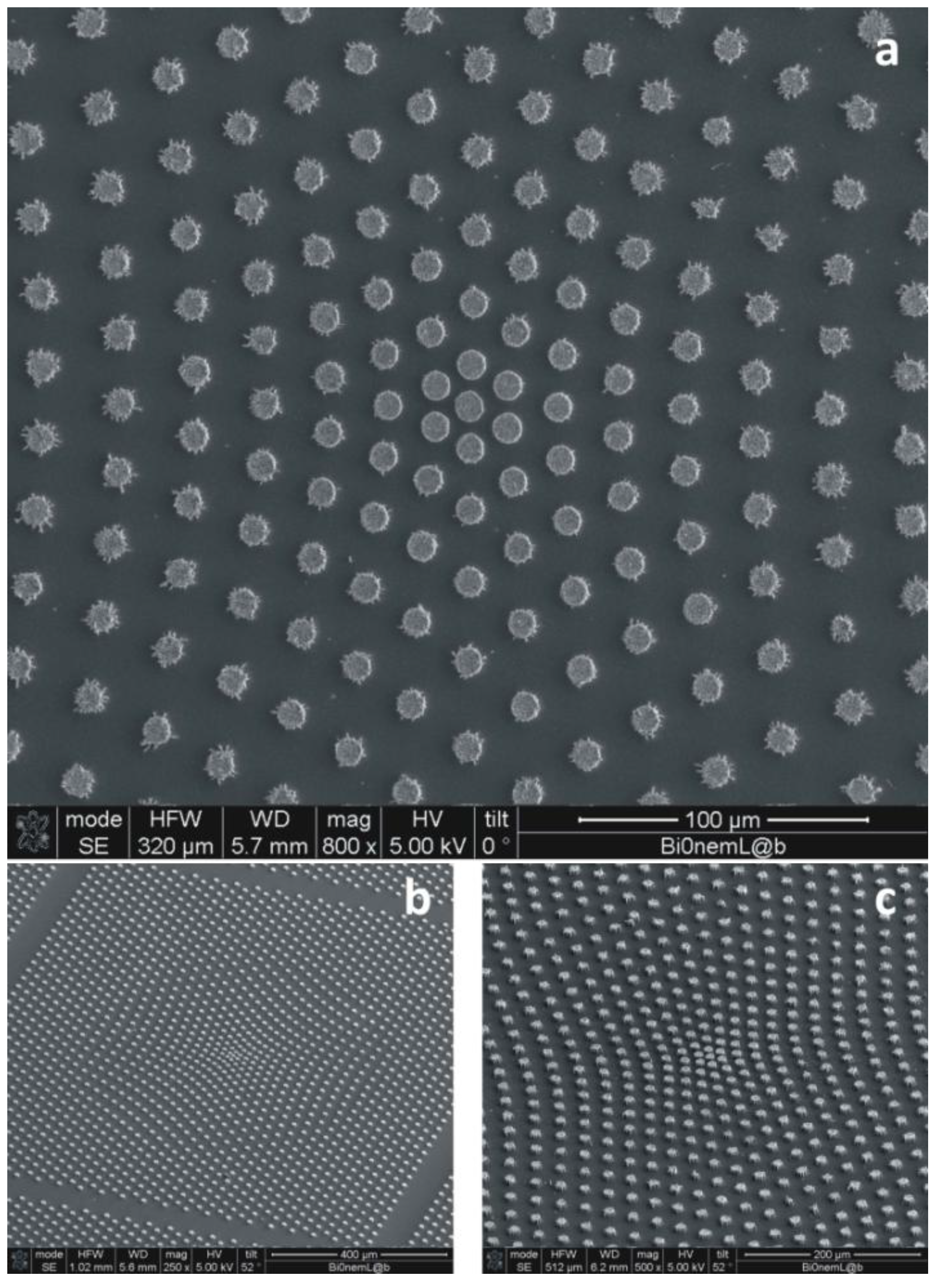 Micromachines 05 00239 g006