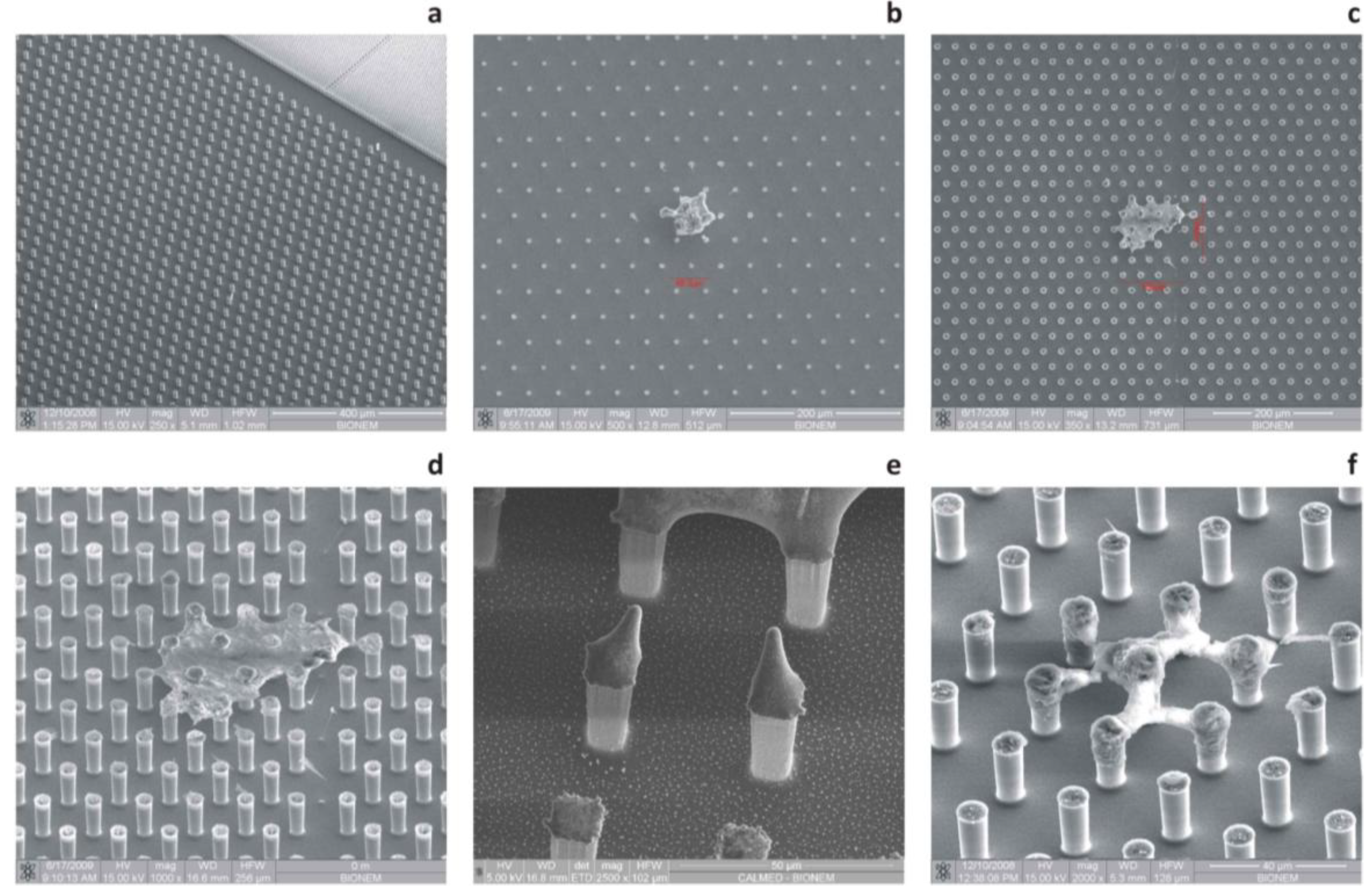 Micromachines 05 00239 g008