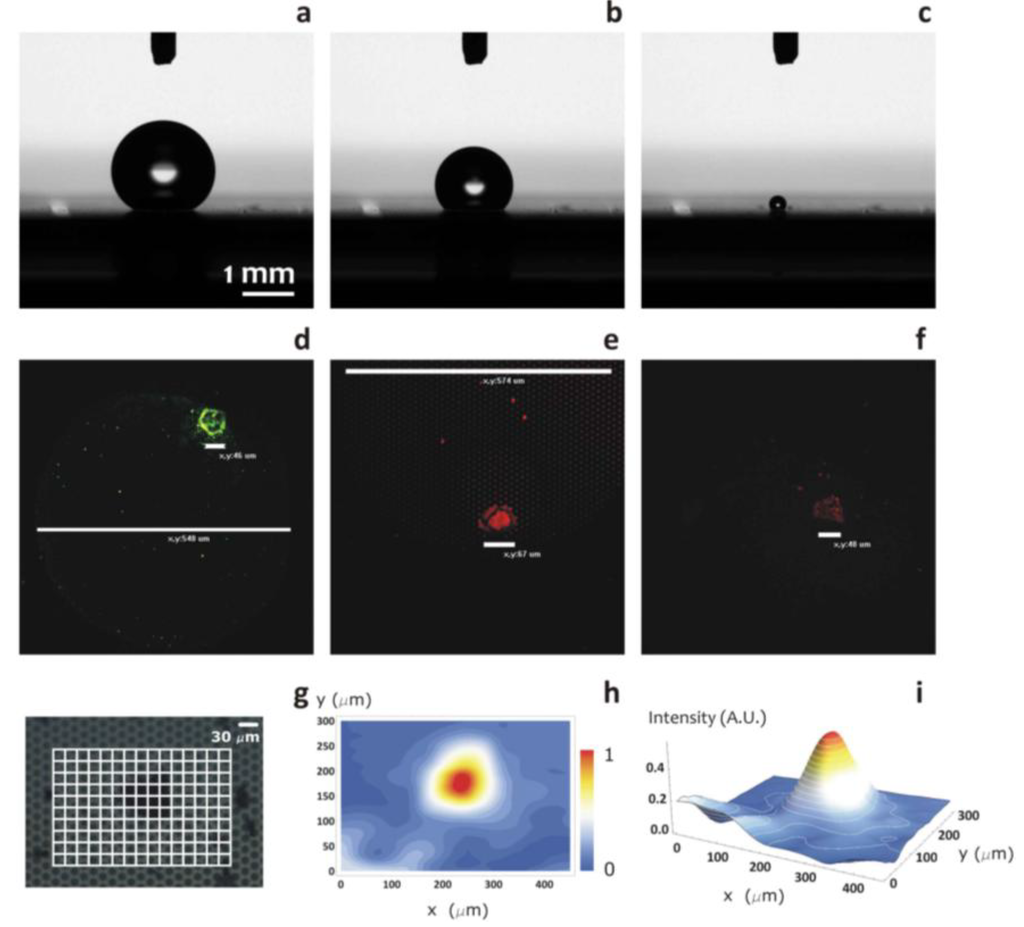 Micromachines 05 00239 g009 1024