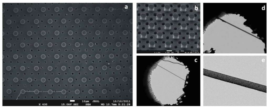 Micromachines 05 00239 g010 1024