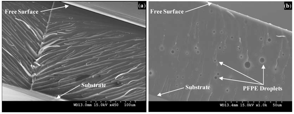 Micromachines 05 00263 g005 1024
