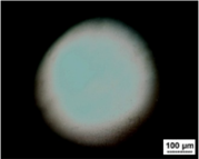 Micromachines 05 00263 i007