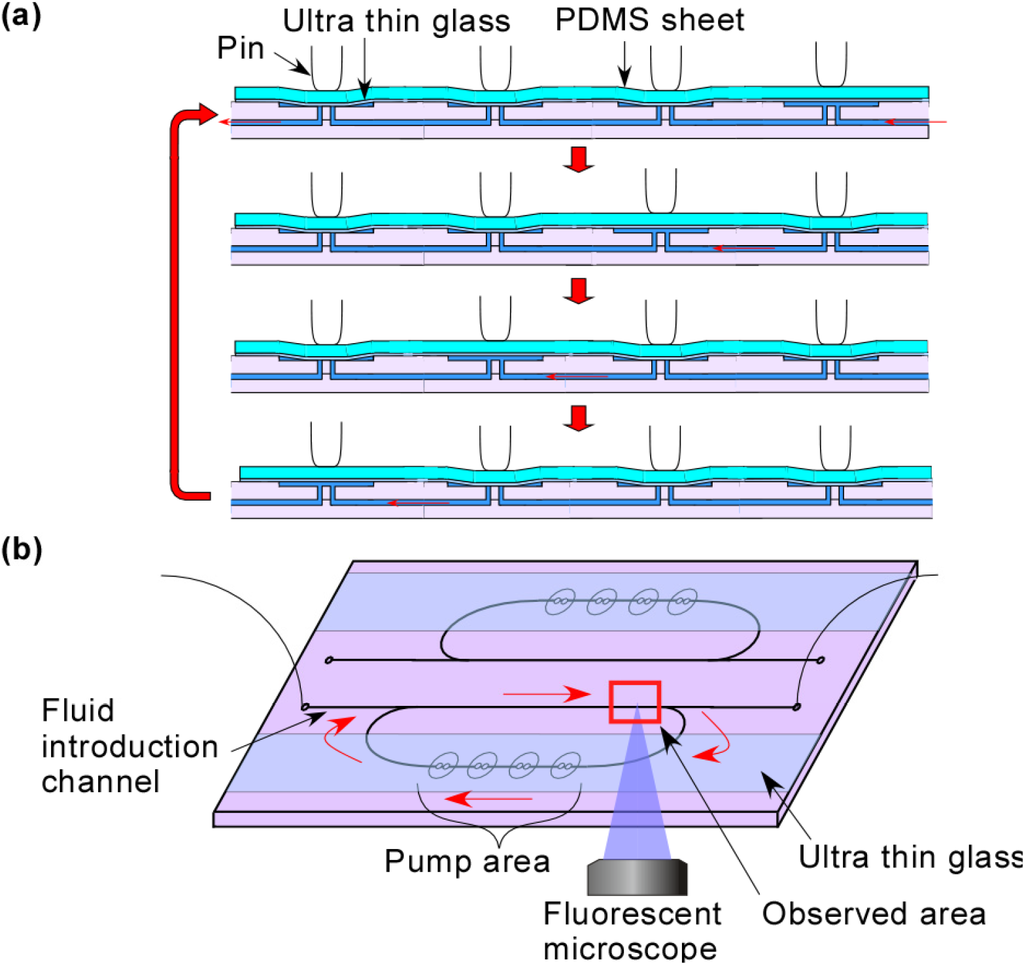 Micromachines 05 00289 g001 1024